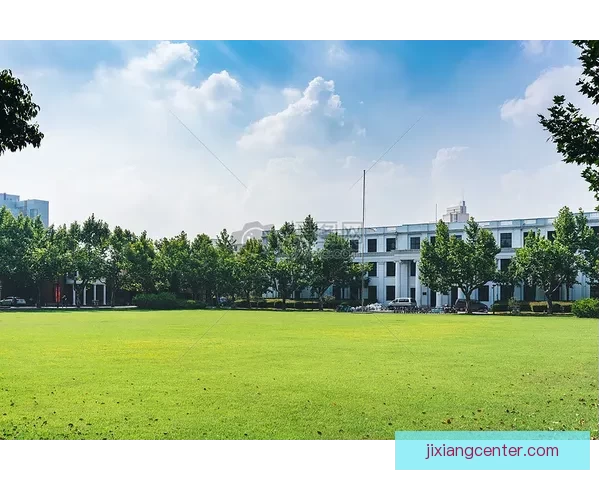 2026年世界杯各大球队完整名单解析与前景展望